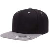 Black/Silver